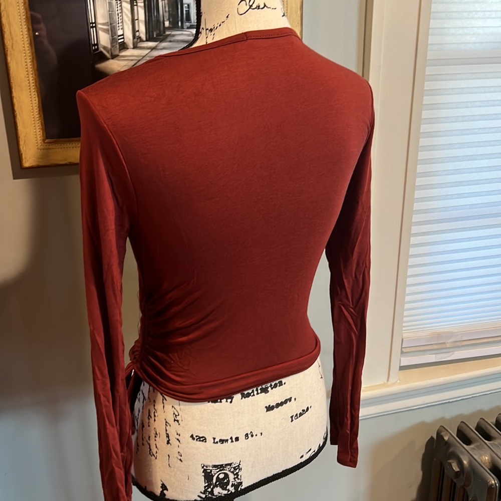 Amable Rust-Colored Cropped Top - Picture 7 of 8